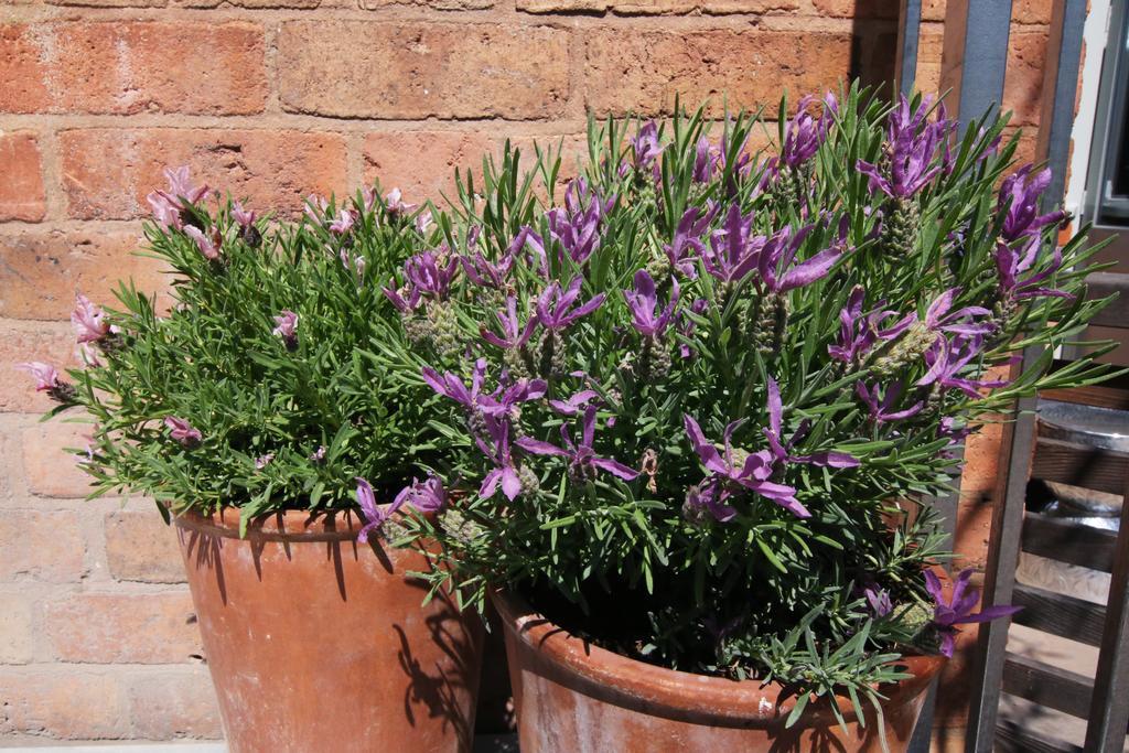 The Bell, Alderminster Bed & Breakfast Stratford-upon-Avon Luaran gambar
